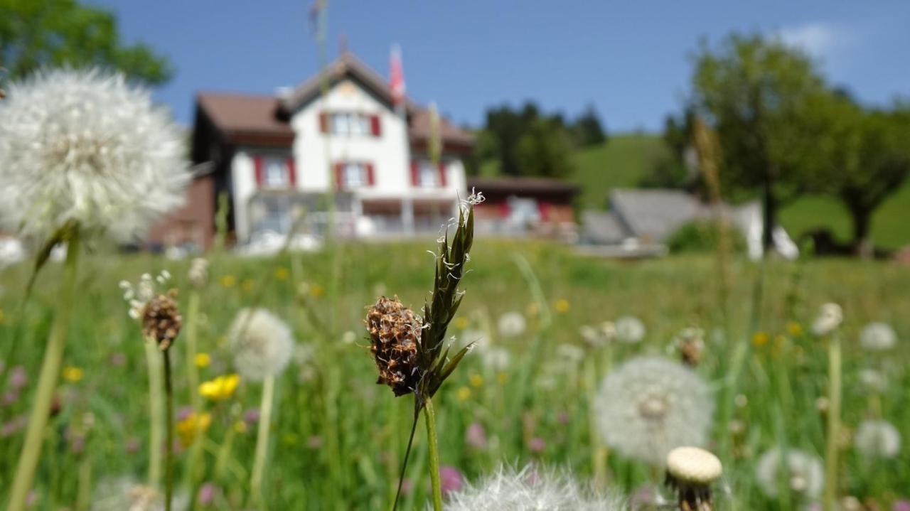 Gasthaus Schwand انغلبرغ المظهر الخارجي الصورة